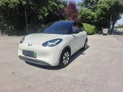 Wuling Bingo
