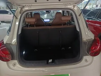 Wuling Bingo