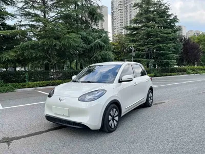 Wuling Bingo