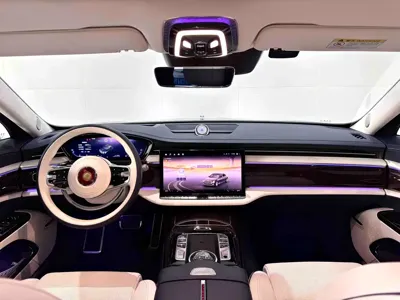 Hongqi 红旗金葵花国雅