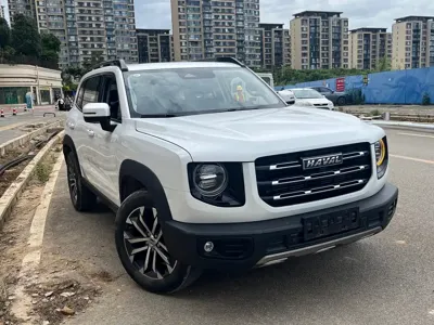 Haval Big Dog