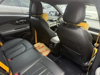 GAC Motor Shadow Leopard