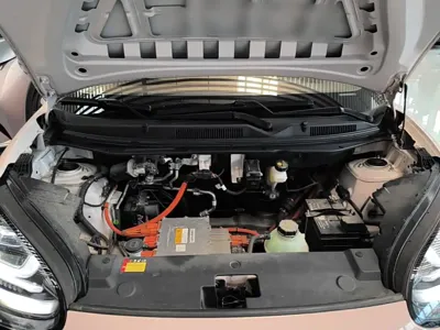 Wuling Bingo