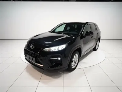 Toyota Wildlander