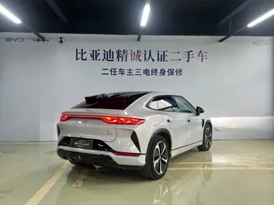 BYD L EV