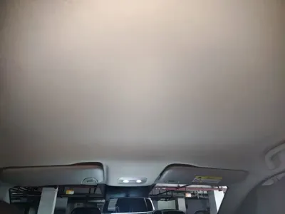 NETA Neta V