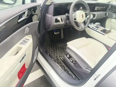 Hongqi Hongqi E-HS9