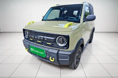 Geely Galaxy Panda