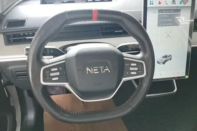NETA V