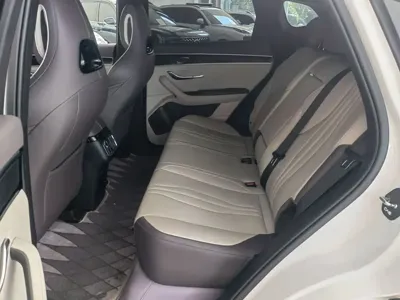 BYD PLUS New Energy