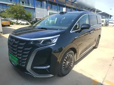 Denza Denza D9