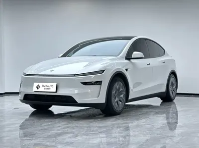 Tesla Model Y L