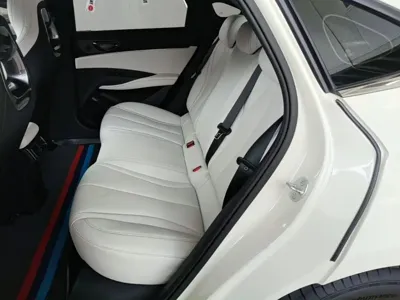 BYD 海豹06