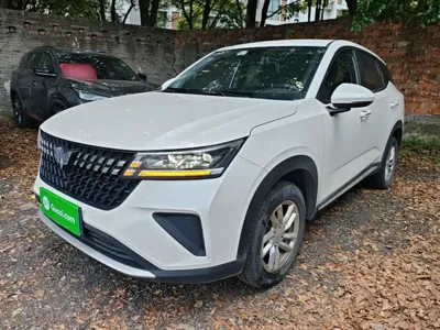 Wuling Xingchi