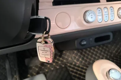 CHANGAN NEVO Lumin