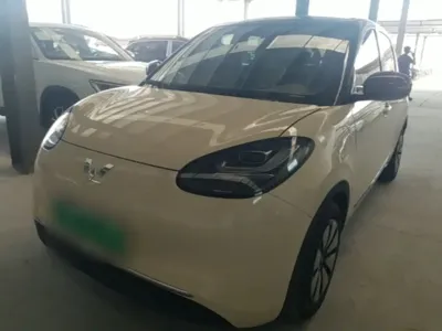 Wuling Bingo