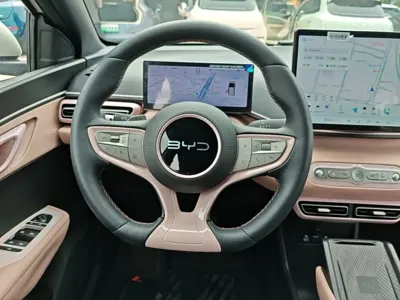BYD Seagull