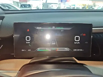 BYD Pro New Energy