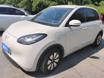 Wuling Bingo