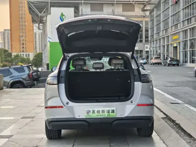 BYD 海狮06