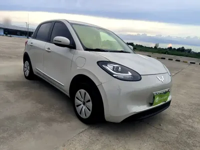 Wuling Bingo