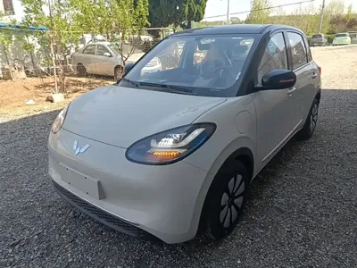 Wuling Bingo