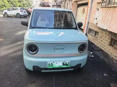 Galaxy Panda