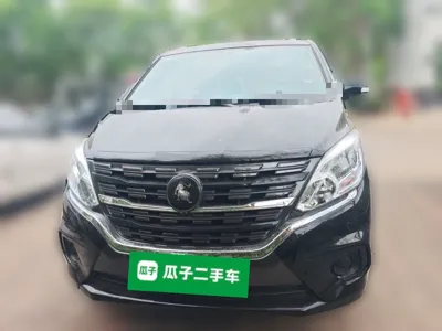 Forthing Lingzhi PLUS
