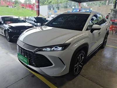 BYD L DM-i