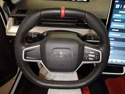 NETA Neta V