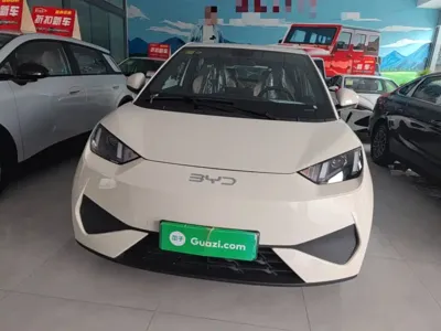 BYD Seagull