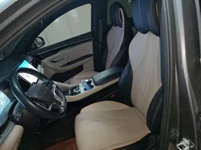 BYD PLUS New Energy