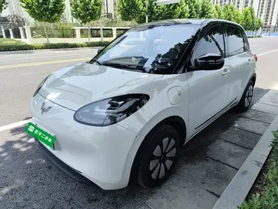 Wuling Bingo