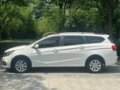 Baojun 310W