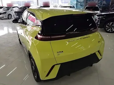 BYD Seagull