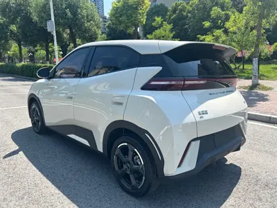 BYD Seagull