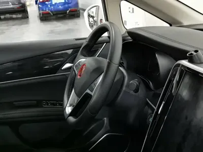 BYD MAX