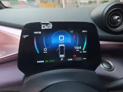 BYD Dolphin