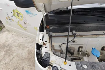 Geely Galaxy Panda