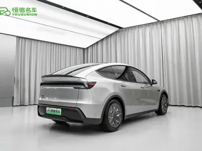Tesla Model Y L