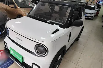 Geely Galaxy Panda