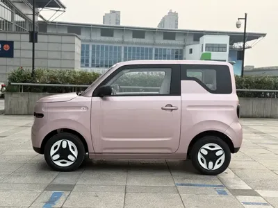 Galaxy Panda