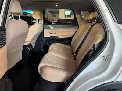 BYD Pro New Energy