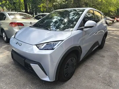 BYD Seagull