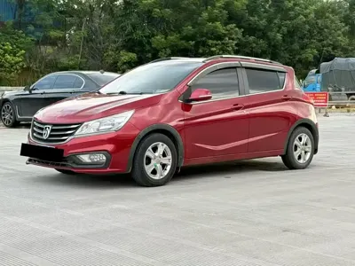 Baojun 310
