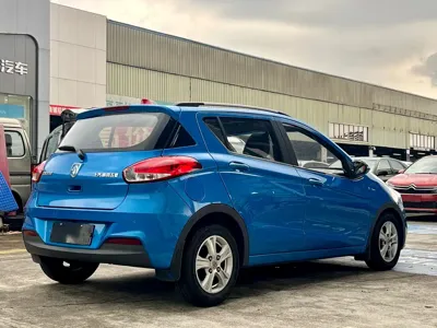 Baojun 310