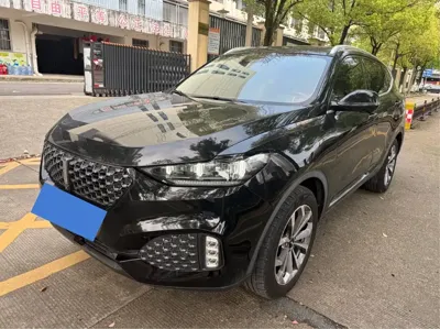 WEY Wey VV6