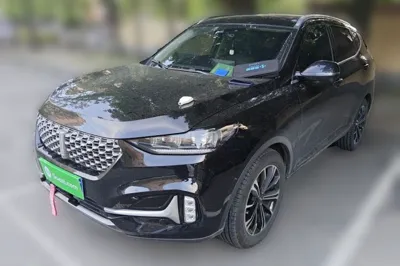 WEY VV6
