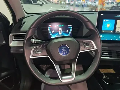 BYD Pro New Energy