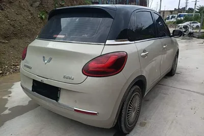 Wuling Bingo